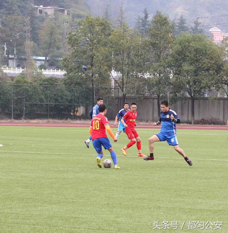 相互交流增进友谊,交流互鉴提升文化自信