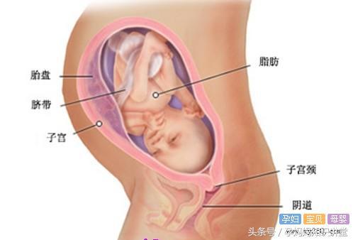 孕9月可能遇到的问题，孕妈妈看看你有吗