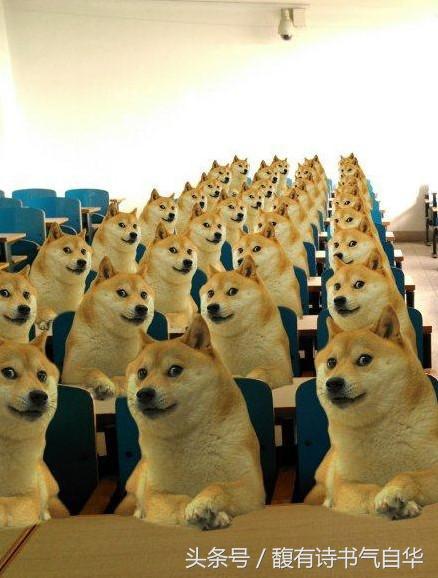 男朋友让我讲笑话,男朋友给我讲笑话是什么意思