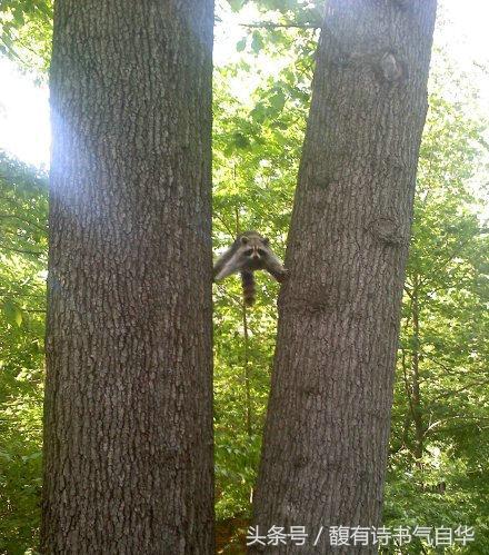 男朋友让我讲笑话,男朋友给我讲笑话是什么意思