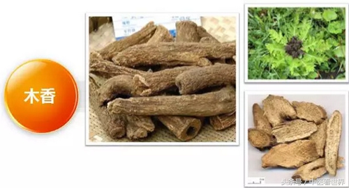 肝胆湿热脾肺郁结的症状,肝气郁结脾弱胃强的中成药