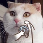 只发图片的女博主,只发图片就很火的博主