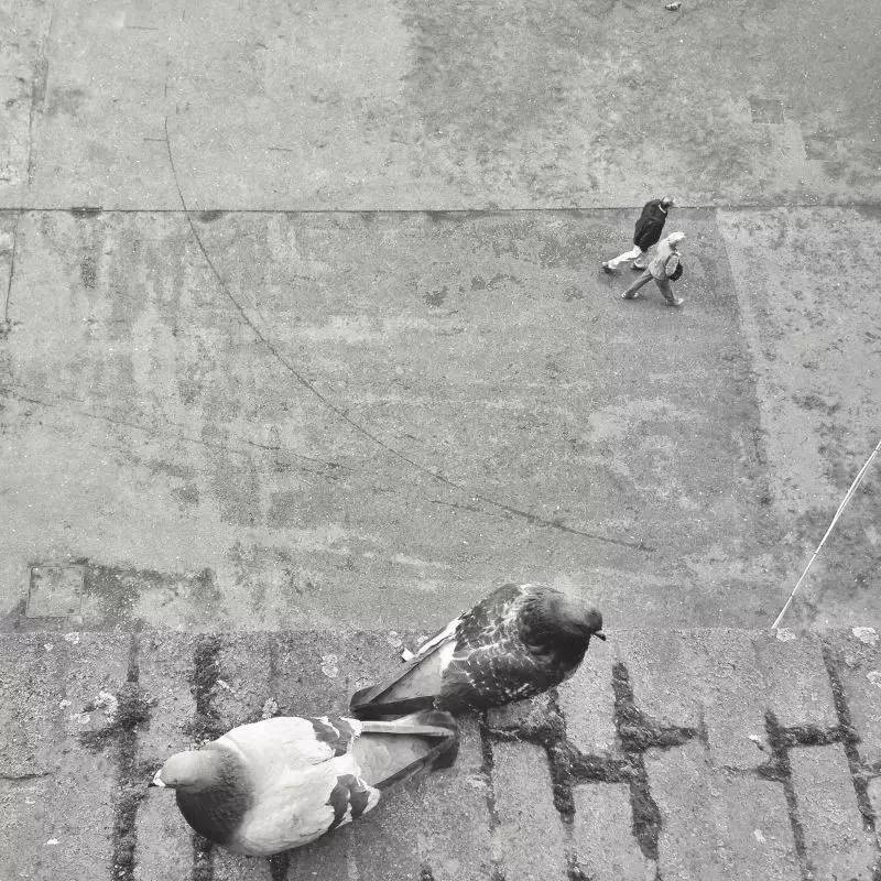 手机怎么拍出小于2m的照片,如何用手机拍出背景虚化的照片