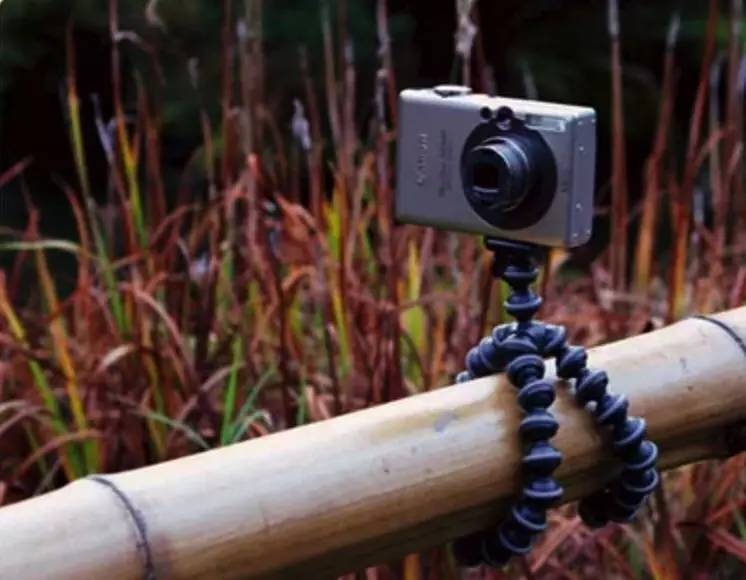 手机怎么拍出小于2m的照片,如何用手机拍出背景虚化的照片