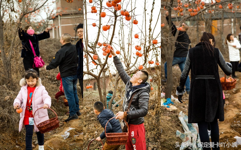 保定轩宇鑫悦奥迪竞秀区,高档红酒品鉴欣赏