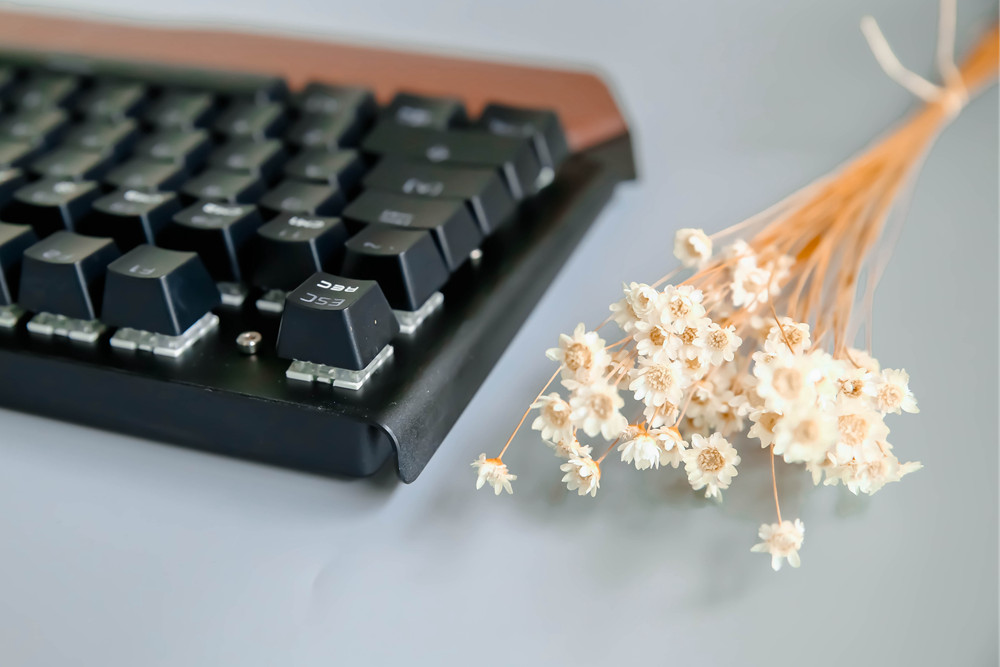 狼派哪一款机械键盘好,ciy机械键盘怎么样