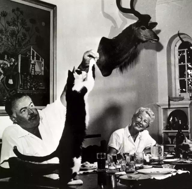 猫人，真正的猫与艺术，猫与我，还有诗