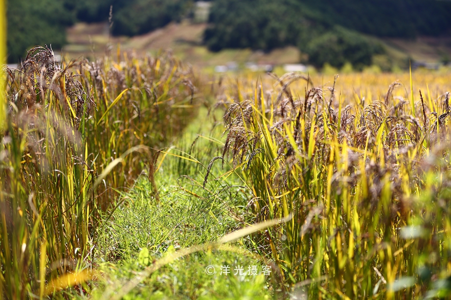 这个民族的祖先因战败被迫流离失所,却创造出世界上独一无二奇迹