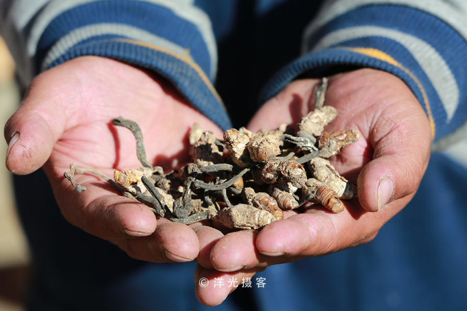 这个民族的祖先因战败被迫流离失所,却创造出世界上独一无二奇迹