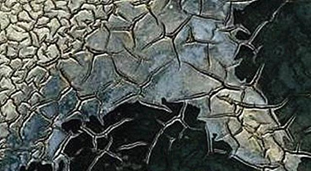 微课堂骗局大揭秘,微课堂骗局真实案例