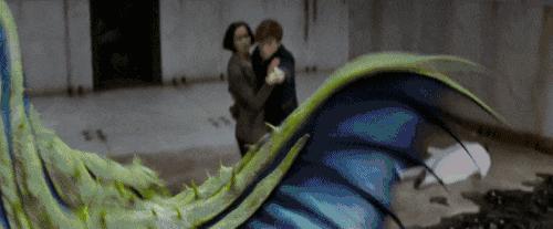 一些神奇的动物用英语怎么说,神奇动物在哪里英文词汇