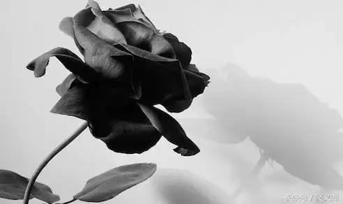 最好的关心就是不要打扰,最好的尊重就是体谅对方