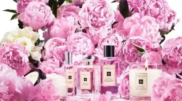 闻香识女人的心,闻香识女人之畅所欲言