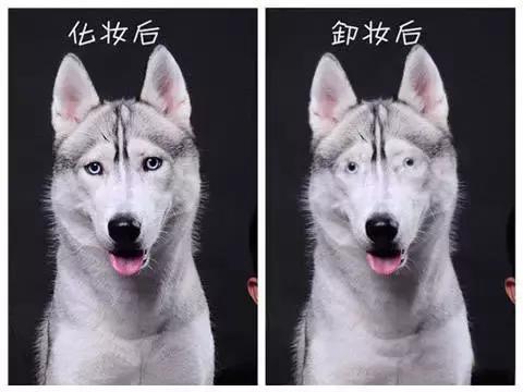 十款超好用的平价眼线笔,推荐一款好用不晕妆的眼线笔品牌