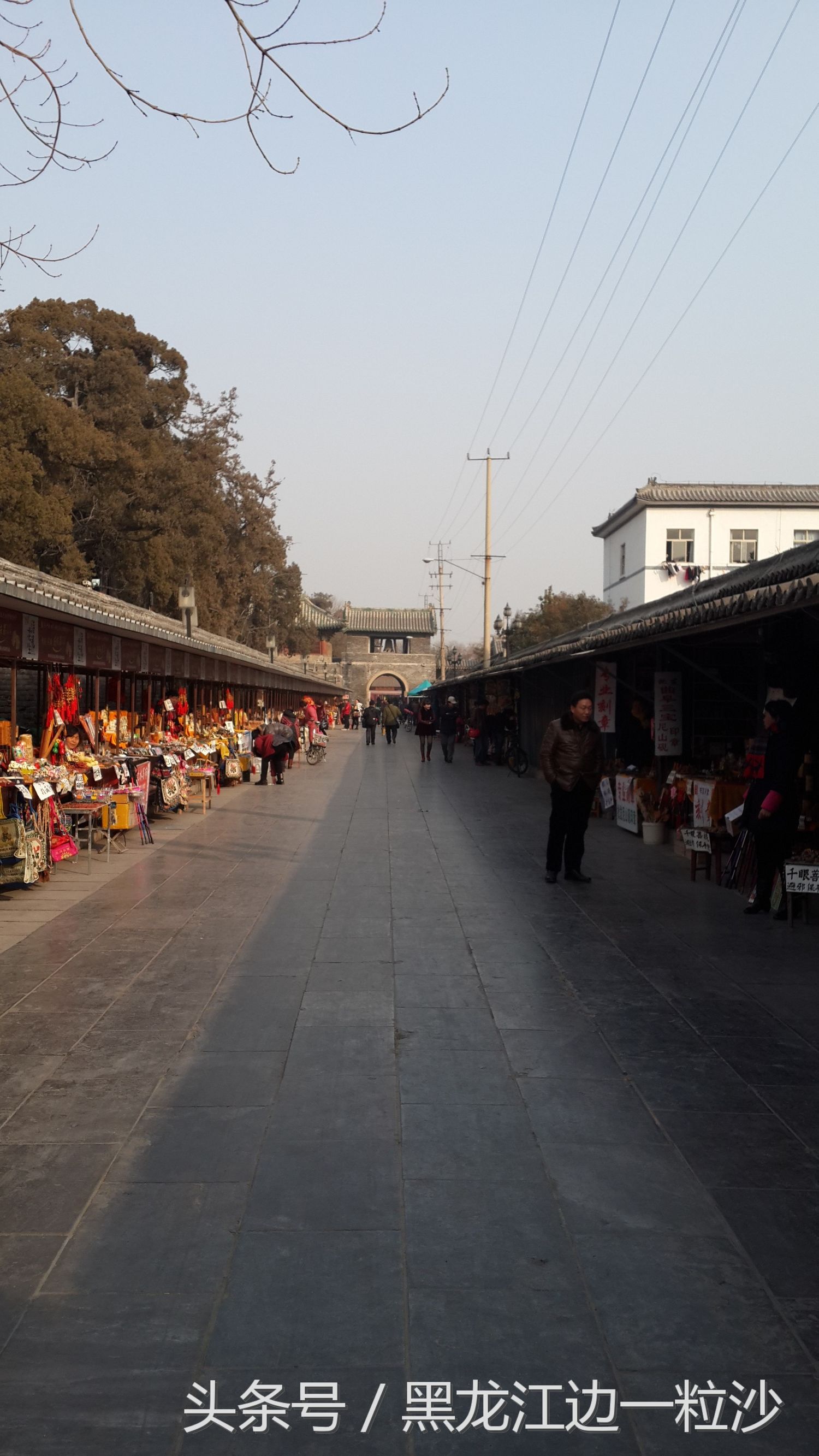 曲阜孔庙旅游免费攻略,走进孔子的故乡山东曲阜孔庙