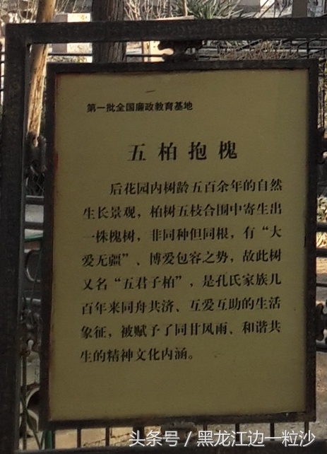 曲阜孔庙旅游免费攻略,走进孔子的故乡山东曲阜孔庙