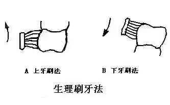 牙龈萎缩怎么办有什么好办法吗,牙龈萎缩怎么办露牙根