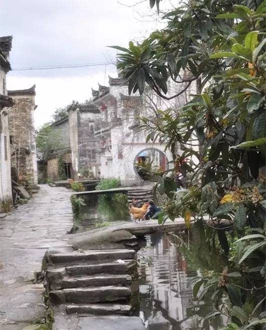 鐑熼洦澶滆鍏ㄦ枃鏈楄,鐑熼洦澶滆