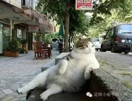 看完此文你不会再觉得买不中足*彩球**票是因为自己水平或运气不够