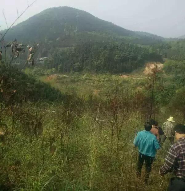 自驾去萍乡武功山,从上栗到萍乡怎样坐客车