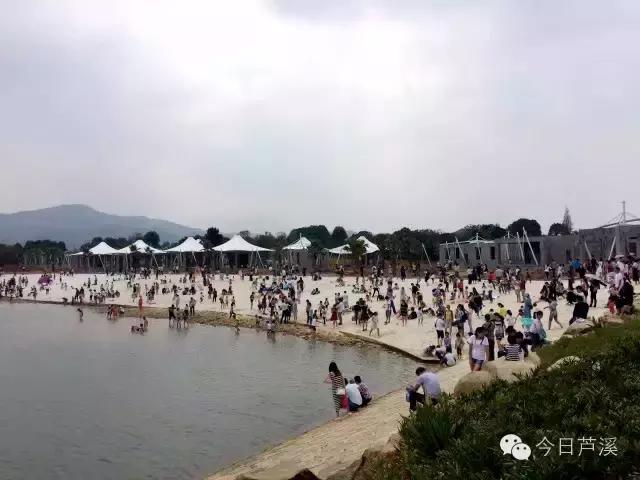 自驾去萍乡武功山,从上栗到萍乡怎样坐客车