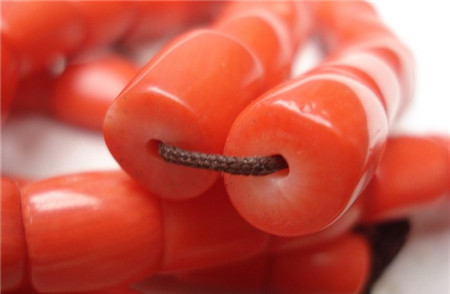 红珊瑚怎样交易,红珊瑚如何交易