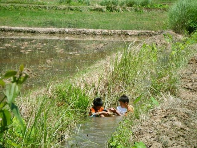 农村小伙捕捞80元一斤的鸭子 (农村小伙捕鱼捕到一条大家伙)