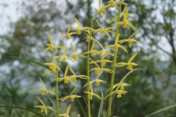 我的艺术成长经历三年级,我的艺术成长足迹照片