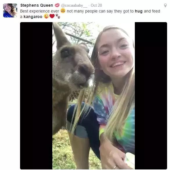 最懂得感恩的袋鼠，十年来每天拥抱救命恩人！袋鼠界的一股清流