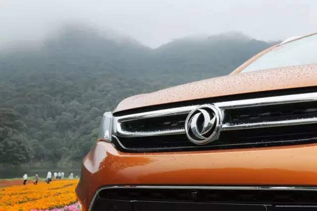 你先镇定一下，我们要在野生动物园里开车了