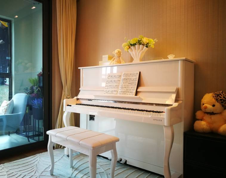 低调的奢华+处女座细节小编实探南站TOP级豪宅