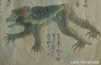 真实的河童是什么动物,黄河有什么动物