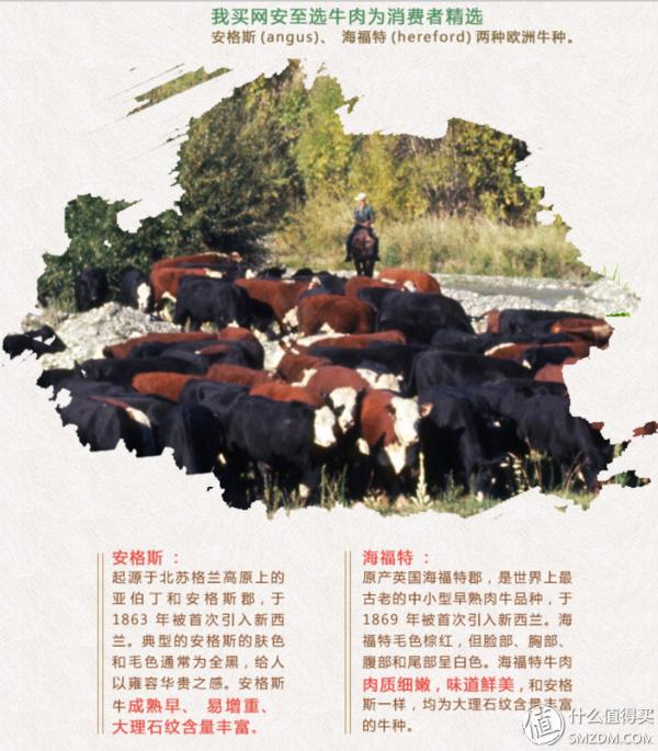 如何在中粮网上团购,中粮网上怎么卖