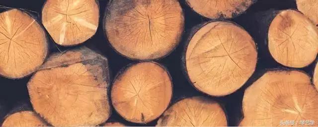 乐器推荐口琴,乐器测评便宜尤克里里