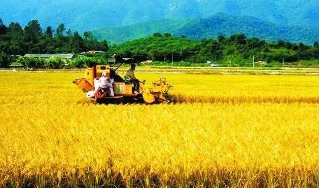 现在什么理财最安全最赚钱,想理财看什么书