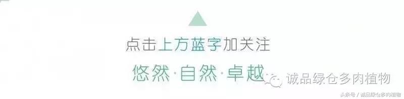 纯文字数据标注,常用的土的颗粒分析方法