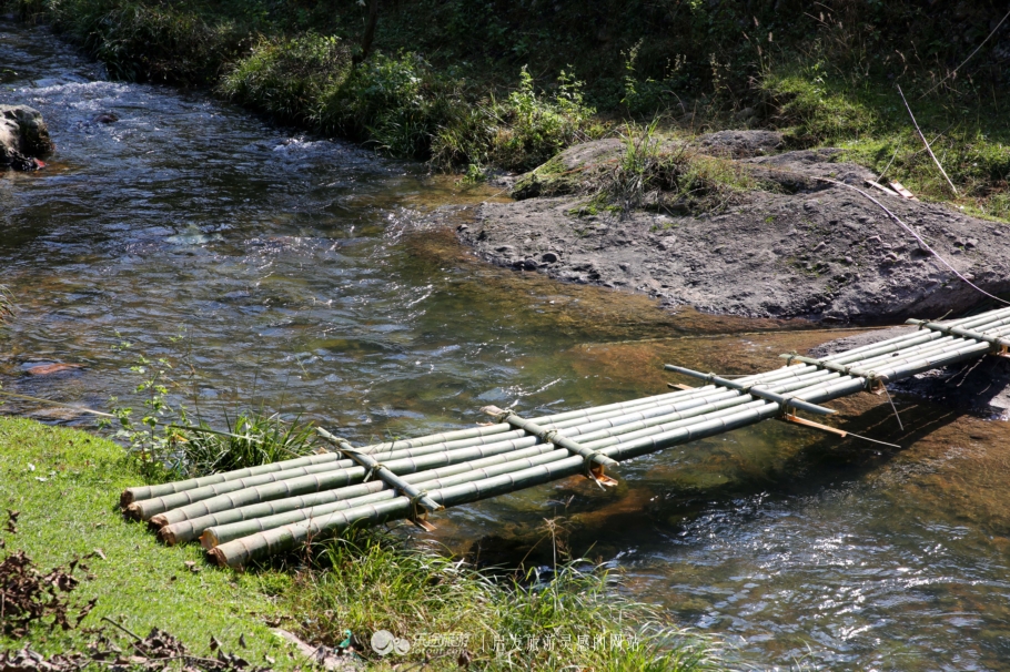 带上阳光开头结尾,阳光情人谷