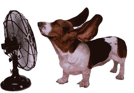 运动损伤与急救,运动损伤与急救高欣