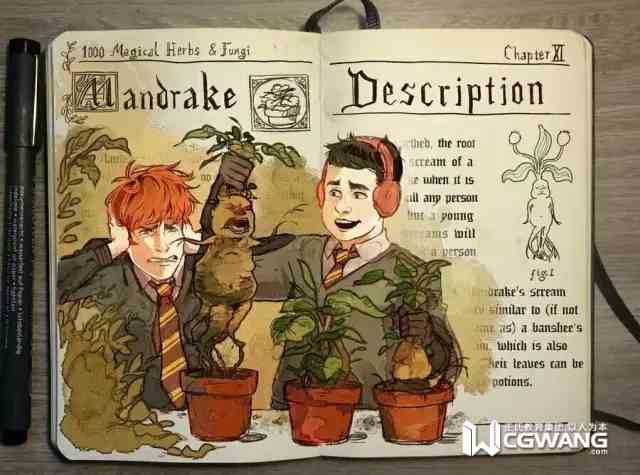 原画师ps培训教程,原画插画师怎么学