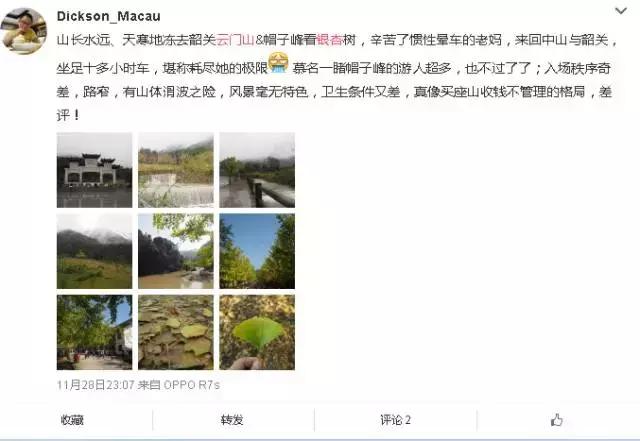 南雄看银杏值得去吗,南雄看银杏攻略