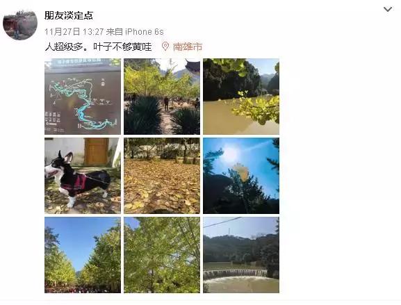 南雄看银杏值得去吗,南雄看银杏攻略