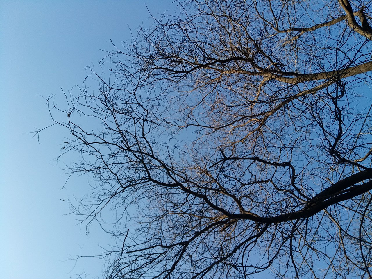 魅蓝5值得买吗,魅蓝5全新