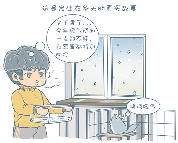 龙猫不洗澡光泡沙子,龙猫不滚沙怎么办