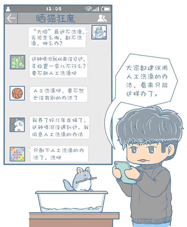 龙猫不洗澡光泡沙子,龙猫不滚沙怎么办