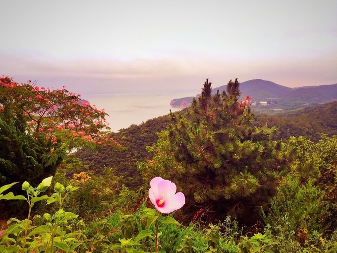 那年夏天那片海图片,那年夏天那片海