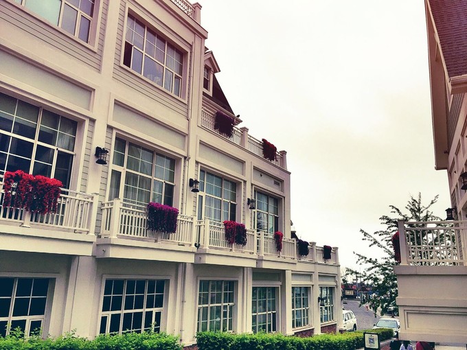 那年夏天那片海图片,那年夏天那片海