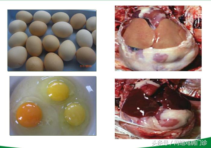 脱霉剂实测,脱霉剂真正脱霉吗