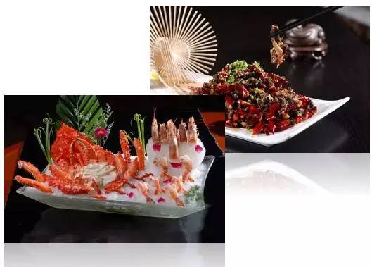 绝密研究所美食,绝密美食视频大全