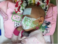 儿童白血病筹款渠道,女儿突发白血病父亲捐髓救女