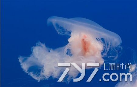 肝功能异常的人吃什么食物好,肝功能异常不能吃什么食物